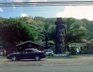 stoned tiki